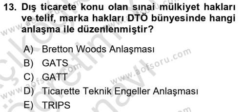 Uluslararası Örgütler Dersi 2021 - 2022 Yılı Yaz Okulu Sınavı 13. Soru