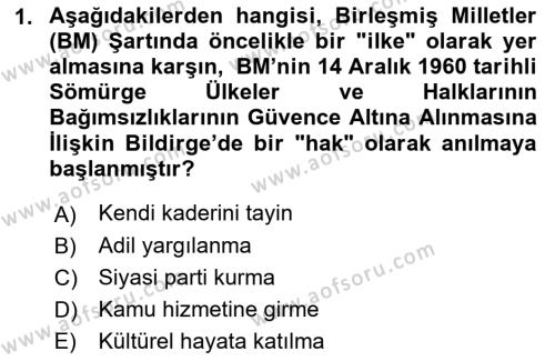 İnsan Hakları ve Demokratikleşme Süreci Dersi 2021 - 2022 Yılı (Vize) Ara Sınavı 1. Soru