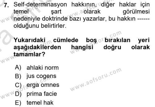 İnsan Hakları ve Demokratikleşme Süreci Dersi 2022 - 2023 Yılı (Vize) Ara Sınavı 7. Soru