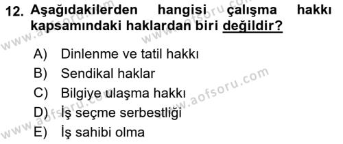 İnsan Hakları ve Demokratikleşme Süreci Dersi 2023 - 2024 Yılı (Vize) Ara Sınavı 12. Soru