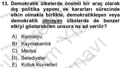 Diş Politika Analizi Dersi 2021 - 2022 Yılı (Vize) Ara Sınavı 13. Soru