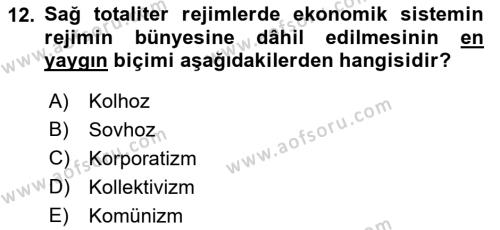 Karşılaştırmalı Siyasal Sistemler Dersi 2022 - 2023 Yılı Yaz Okulu Sınavı 12. Soru