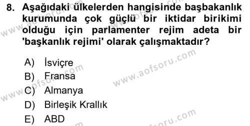 Karşılaştırmalı Siyasal Sistemler Dersi 2023 - 2024 Yılı Yaz Okulu Sınavı 8. Soru