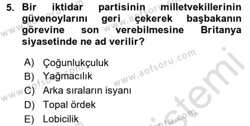 Karşılaştırmalı Siyasal Sistemler Dersi 2024 - 2025 Yılı (Vize) Ara Sınavı 5. Soru