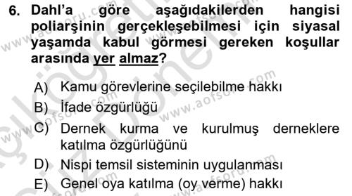 Karşılaştırmalı Siyasal Sistemler Dersi 2024 - 2025 Yılı (Vize) Ara Sınavı 6. Soru