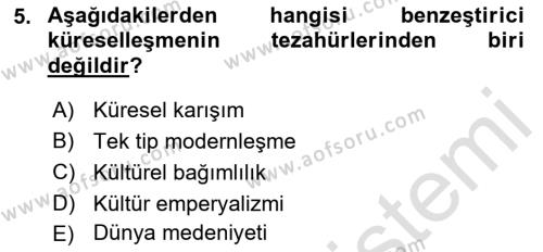 Uluslararası Ekonomi Politik Dersi 2021 - 2022 Yılı (Vize) Ara Sınavı 5. Soru