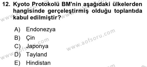 Uluslararası Ekonomi Politik Dersi 2021 - 2022 Yılı (Final) Dönem Sonu Sınavı 12. Soru