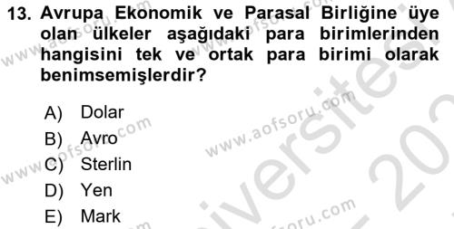 Uluslararası Ekonomi Politik Dersi 2021 - 2022 Yılı (Final) Dönem Sonu Sınavı 13. Soru