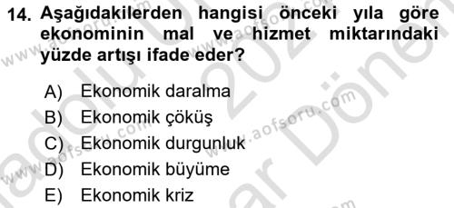 Uluslararası Ekonomi Politik Dersi 2021 - 2022 Yılı (Final) Dönem Sonu Sınavı 14. Soru