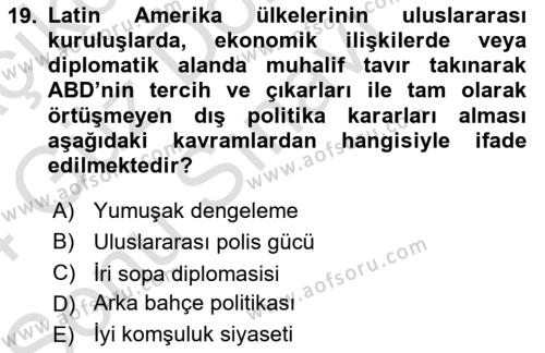 Amerikan Dış Politikası Dersi 2023 - 2024 Yılı (Final) Dönem Sonu Sınavı 19. Soru