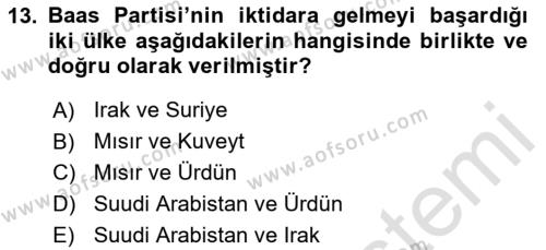 Türk Dış Politikası 1 Dersi 2023 - 2024 Yılı Yaz Okulu Sınavı 13. Soru