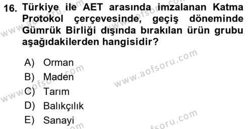 Türk Dış Politikası 1 Dersi 2023 - 2024 Yılı Yaz Okulu Sınavı 16. Soru