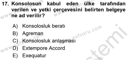 Diplomasi Tarihi Dersi 2023 - 2024 Yılı Yaz Okulu Sınavı 17. Soru