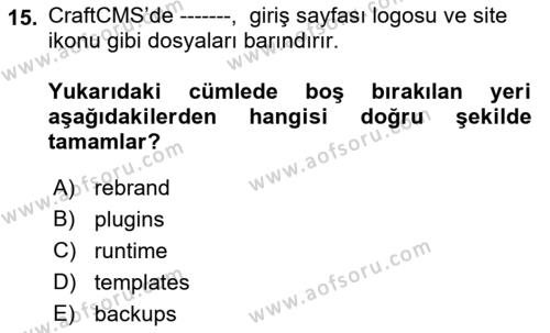 İçerik Yönetim Sistemleri Dersi 2021 - 2022 Yılı Yaz Okulu Sınavı 15. Soru