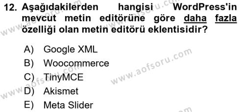 İçerik Yönetim Sistemleri Dersi 2022 - 2023 Yılı (Vize) Ara Sınavı 12. Soru