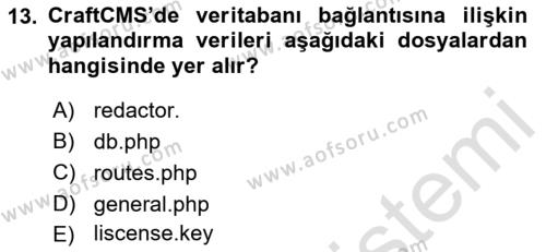 İçerik Yönetim Sistemleri Dersi 2022 - 2023 Yılı Yaz Okulu Sınavı 13. Soru