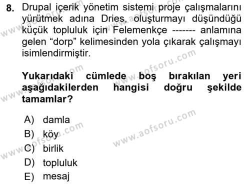 İçerik Yönetim Sistemleri Dersi 2022 - 2023 Yılı Yaz Okulu Sınavı 8. Soru