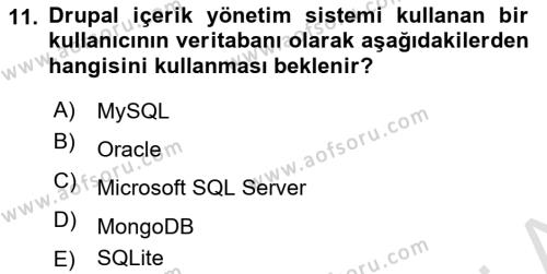 İçerik Yönetim Sistemleri Dersi 2023 - 2024 Yılı Yaz Okulu Sınavı 11. Soru