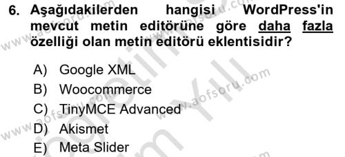 İçerik Yönetim Sistemleri Dersi 2023 - 2024 Yılı Yaz Okulu Sınavı 6. Soru