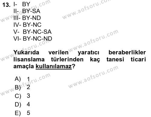 Web’de Telif Hakları ve Etik Dersi 2021 - 2022 Yılı Yaz Okulu Sınavı 13. Soru