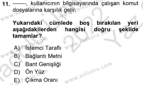 Web’de Telif Hakları ve Etik Dersi 2022 - 2023 Yılı Yaz Okulu Sınavı 11. Soru