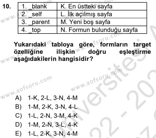 Web Tabanlı Kodlama Dersi 2022 - 2023 Yılı Yaz Okulu Sınavı 10. Soru