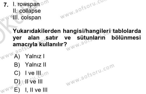 Web Tabanlı Kodlama Dersi 2022 - 2023 Yılı Yaz Okulu Sınavı 7. Soru