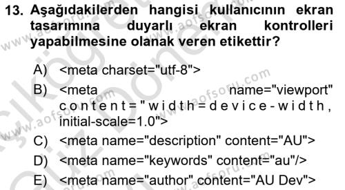 Web Tabanlı Kodlama Dersi 2023 - 2024 Yılı (Vize) Ara Sınavı 13. Soru