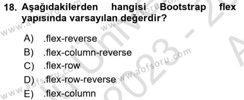 Web Tabanlı Kodlama Dersi 2023 - 2024 Yılı (Vize) Ara Sınavı 18. Soru