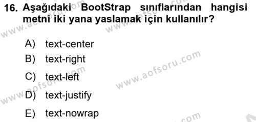 Web Tabanlı Kodlama Dersi 2023 - 2024 Yılı (Final) Dönem Sonu Sınavı 16. Soru