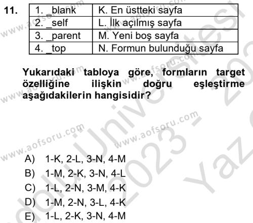 Web Tabanlı Kodlama Dersi 2023 - 2024 Yılı Yaz Okulu Sınavı 11. Soru