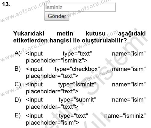 Web Tabanlı Kodlama Dersi 2023 - 2024 Yılı Yaz Okulu Sınavı 13. Soru