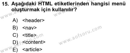 Web Tabanlı Kodlama Dersi 2023 - 2024 Yılı Yaz Okulu Sınavı 15. Soru