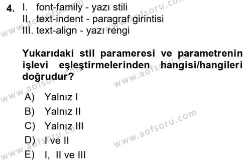 Web Tabanlı Kodlama Dersi 2023 - 2024 Yılı Yaz Okulu Sınavı 4. Soru