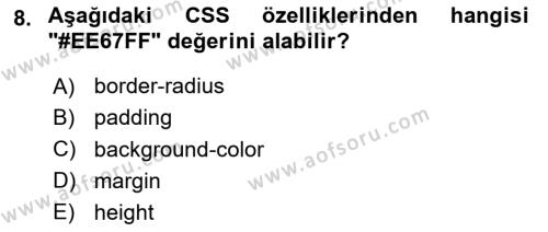 Web Tabanlı Kodlama Dersi 2023 - 2024 Yılı Yaz Okulu Sınavı 8. Soru