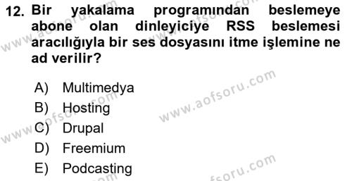 Web Tasarımı Satış ve Pazarlama Dersi 2021 - 2022 Yılı (Vize) Ara Sınavı 12. Soru