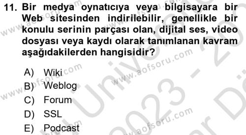 Web Tasarımı Satış ve Pazarlama Dersi 2023 - 2024 Yılı (Vize) Ara Sınavı 11. Soru