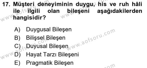 Web Tasarımı Satış ve Pazarlama Dersi 2023 - 2024 Yılı (Vize) Ara Sınavı 17. Soru