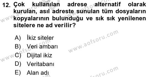 Web Tasarımı Satış ve Pazarlama Dersi 2023 - 2024 Yılı (Final) Dönem Sonu Sınavı 12. Soru