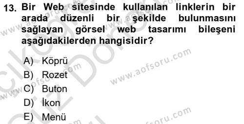 Görsel Web Tasarımı Dersi 2023 - 2024 Yılı (Vize) Ara Sınavı 13. Soru