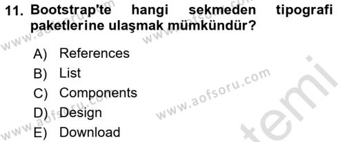 Görsel Web Tasarımı Dersi 2023 - 2024 Yılı (Final) Dönem Sonu Sınavı 11. Soru