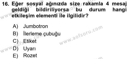 Görsel Web Tasarımı Dersi 2023 - 2024 Yılı (Final) Dönem Sonu Sınavı 16. Soru