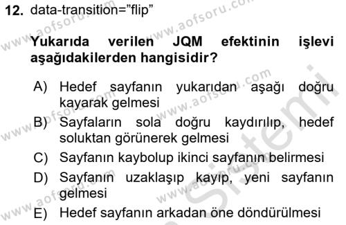 İnternet Tabanlı Programlama Dersi 2020 - 2021 Yılı Yaz Okulu Sınavı 12. Soru