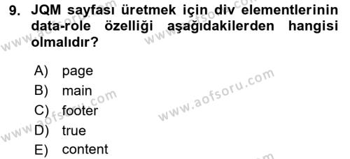 İnternet Tabanlı Programlama Dersi 2022 - 2023 Yılı Yaz Okulu Sınavı 9. Soru