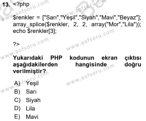 İnternet Tabanlı Programlama Dersi 2023 - 2024 Yılı (Vize) Ara Sınavı 13. Soru