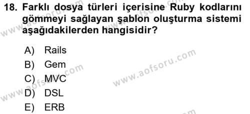 İnternet Tabanlı Programlama Dersi 2023 - 2024 Yılı (Final) Dönem Sonu Sınavı 18. Soru