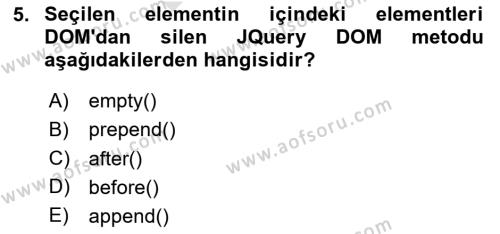 İnternet Tabanlı Programlama Dersi 2023 - 2024 Yılı (Final) Dönem Sonu Sınavı 5. Soru