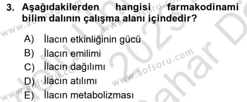 Yaşlılarda Görülebilecek Sorunlar Ve Bakım Hizmetleri Dersi 2023 - 2024 Yılı (Vize) Ara Sınavı 3. Soru