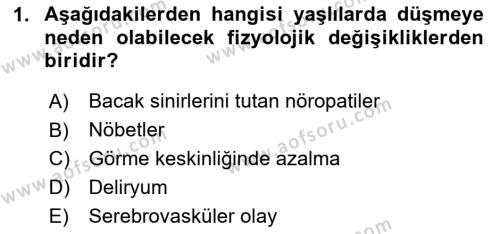 Yaşlılarda Görülebilecek Sorunlar Ve Bakım Hizmetleri Dersi 2023 - 2024 Yılı (Final) Dönem Sonu Sınavı 1. Soru