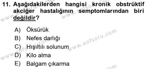 Yaşlılarda Görülebilecek Sorunlar Ve Bakım Hizmetleri Dersi 2023 - 2024 Yılı (Final) Dönem Sonu Sınavı 11. Soru